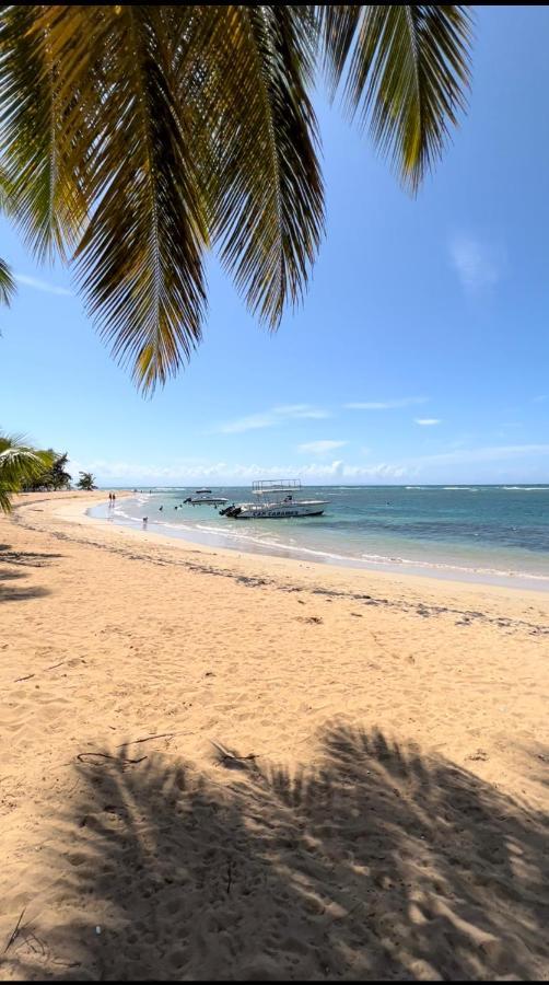 Lovely Beachfront 2 Bedrooms Condo With 2 Pools Лас Терренас Экстерьер фото